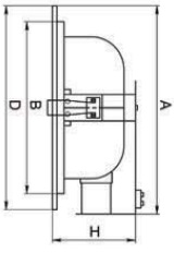 �������. �����